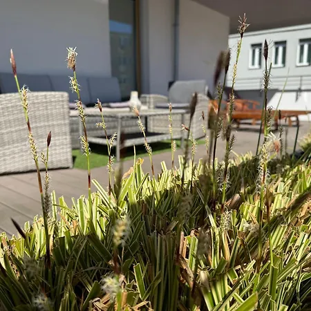 Miodowy Dom Exspanse 2 Lub 3 Z Tarasem I Parkingiem