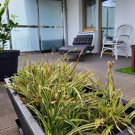 Appartement Miodowy Dom Exspanse 2 Lub 3 Z Tarasem I Parkingiem *
